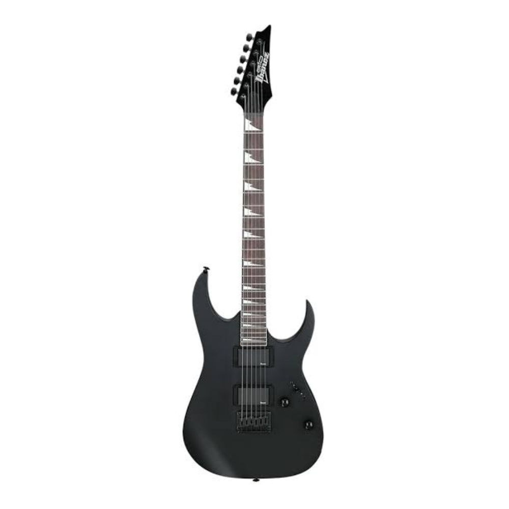 Guitarra Eléctrica Ibanez GRG121DX-BFK.