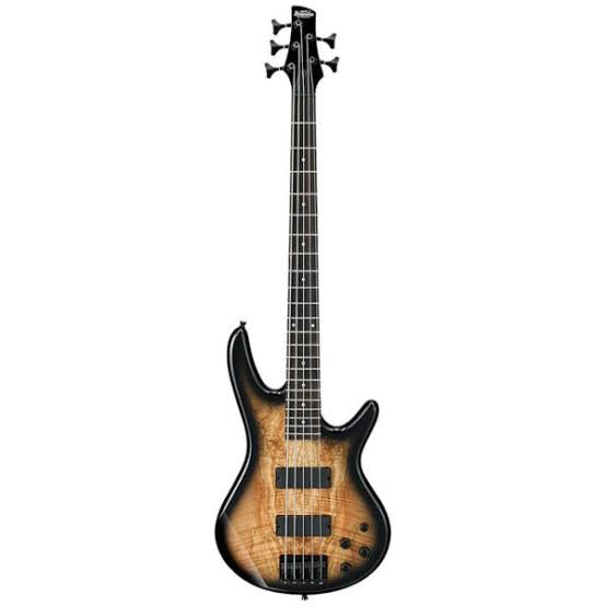 Bajo eléctrico 5 cuerdas Ibanez GSR205SM-NGT