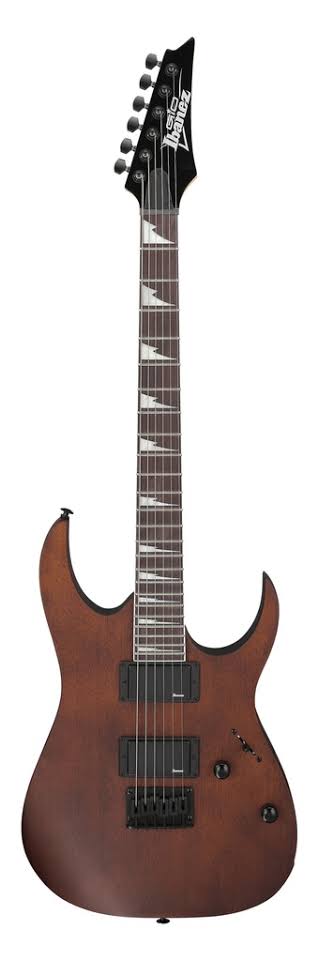 Guitarra eléctrica Ibanez GRG121DX-WNF.