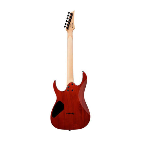 Guitarra eléctrica Ibanez GRGR221PA-AQB.